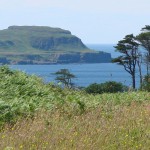Calgary Bay