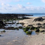 One of Mull's best kept secrets!