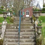 torosay-1