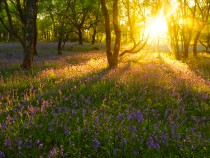 Photography Trips and Tours