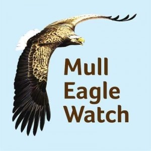 Mull Eagle watch