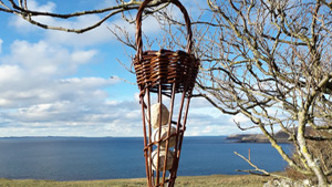 Willow weaving workshop